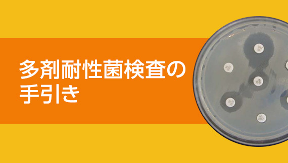 一般社団法人日本臨床微生物学会
